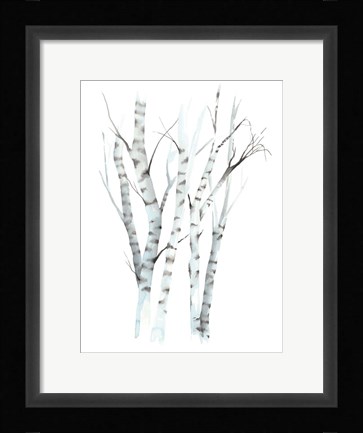 Framed Aquarelle Birches II Print