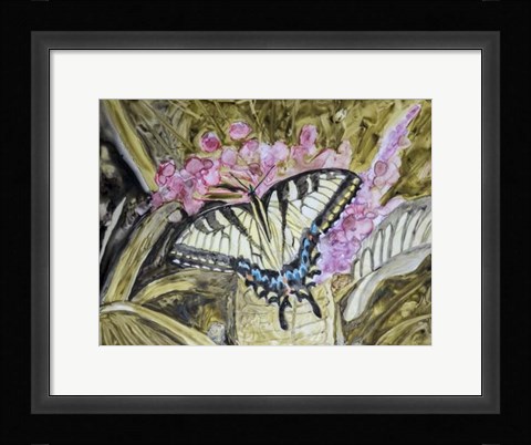 Framed Butterfly in Nature II Print