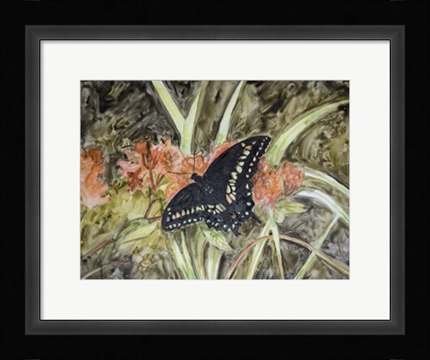 Framed Butterfly in Nature III Print