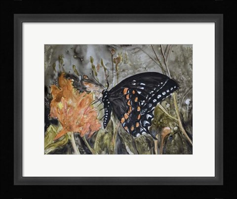 Framed Butterfly in Nature IV Print