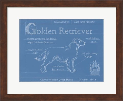 Framed Blueprint Golden Retriever Print
