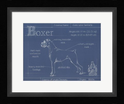 Framed Blueprint Boxer Print