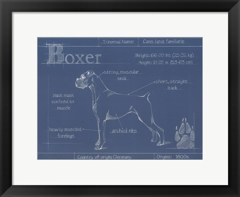 Framed Blueprint Boxer Print