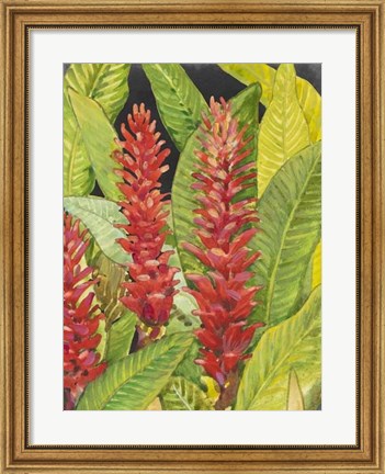 Framed Red Tropical Flowers II Print