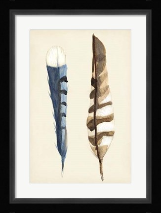 Framed Plumage III Print