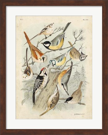 Framed Gathering of Birds II Print