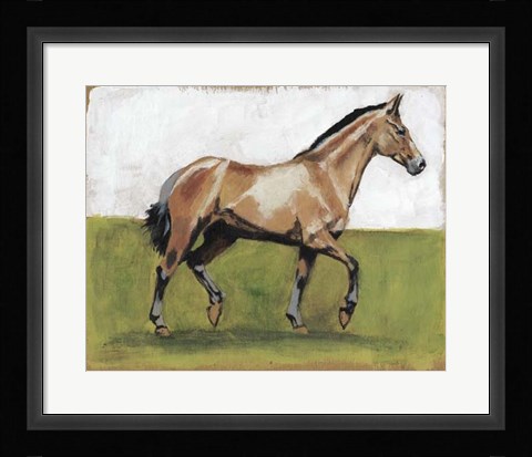 Framed Equestrian Studies III Print