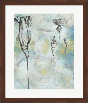 Framed Botanical Abstract II Print