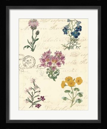 Framed Botanical Journal I Print