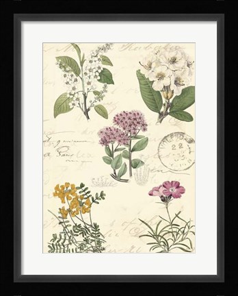 Framed Botanical Journal II Print
