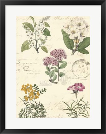 Framed Botanical Journal II Print
