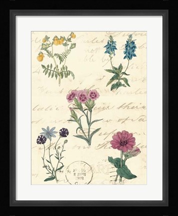 Framed Botanical Journal III Print