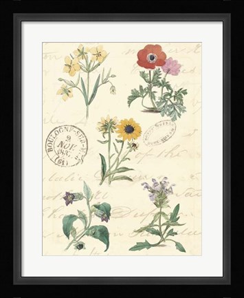 Framed Botanical Journal IV Print