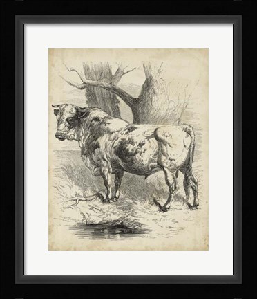 Framed Pastoral Sketch II Print