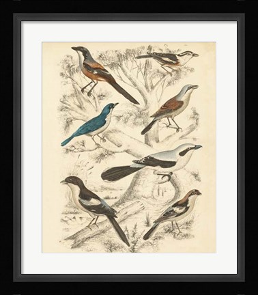 Framed Avian Habitat V Print