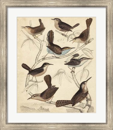 Framed Avian Habitat VI Print