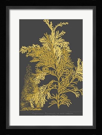 Framed Trees &amp; Leaves I Print