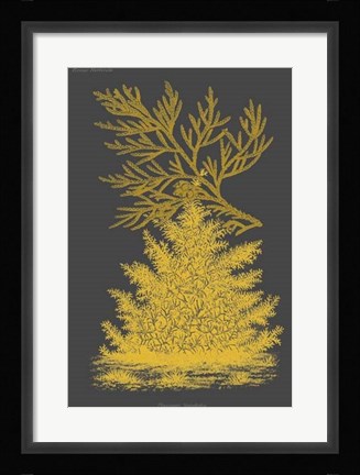 Framed Trees &amp; Leaves II Print