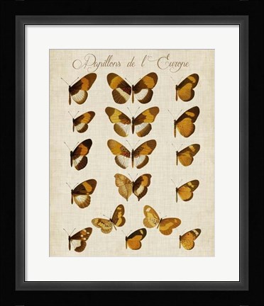 Framed Papillons de L'Europe I Print