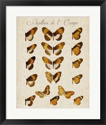 Framed Papillons de L&#39;Europe I Print