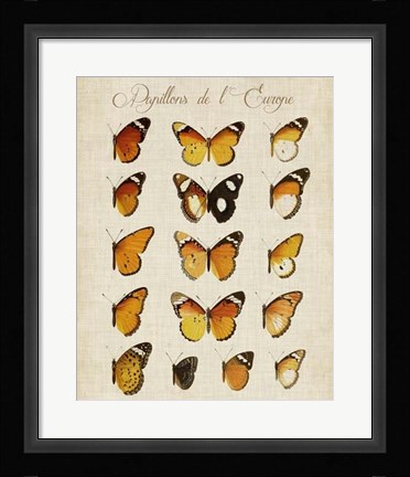 Framed Papillons de L'Europe II Print