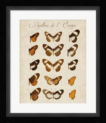Framed Papillons de L'Europe IV Print