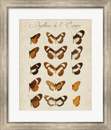 Framed Papillons de L&#39;Europe IV Print
