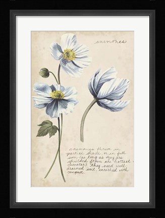 Framed Garden Studies III Print