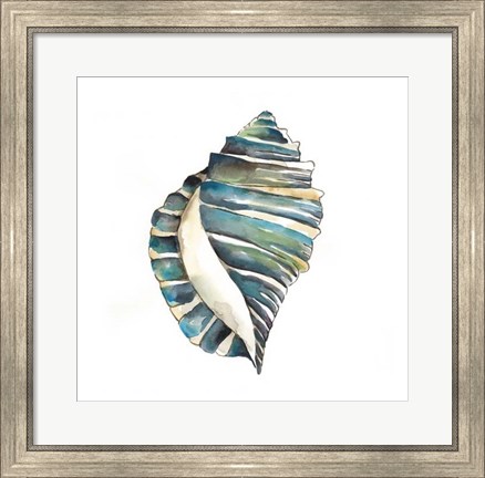Framed Aquarelle Shells I Print