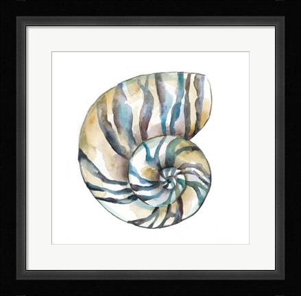 Framed Aquarelle Shells II Print