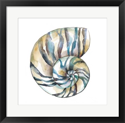 Framed Aquarelle Shells II Print
