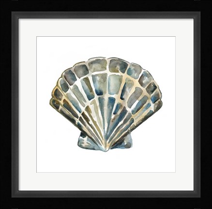 Framed Aquarelle Shells IV Print