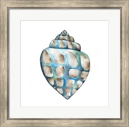Framed Aquarelle Shells V Print