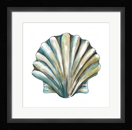 Framed Aquarelle Shells VI Print
