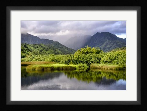 Framed Coastal Marsh III Print