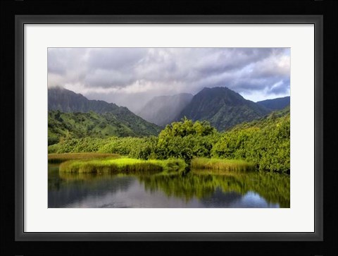 Framed Coastal Marsh IV Print