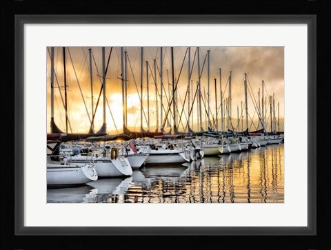 Framed Backlit Marina Print