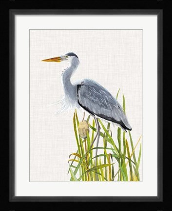 Framed Waterbirds &amp; Cattails II Print