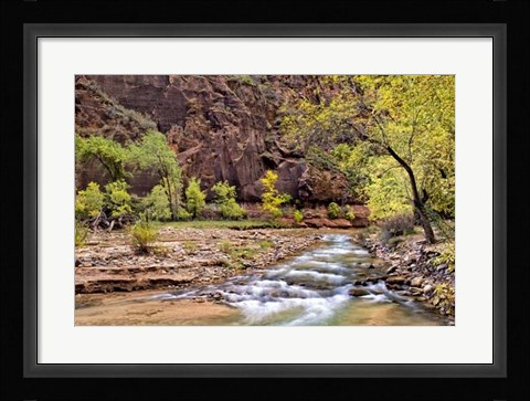 Framed Zion Autumn I Print