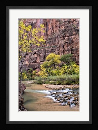 Framed Zion Autumn II Print