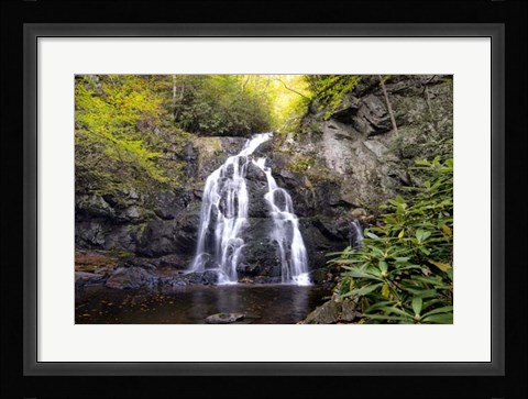 Framed Spruce Flat Falls Print