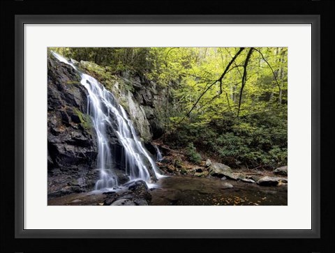 Framed Spruce Flat Falls at Morning Print