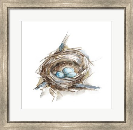 Framed Bird Nest Study II Print
