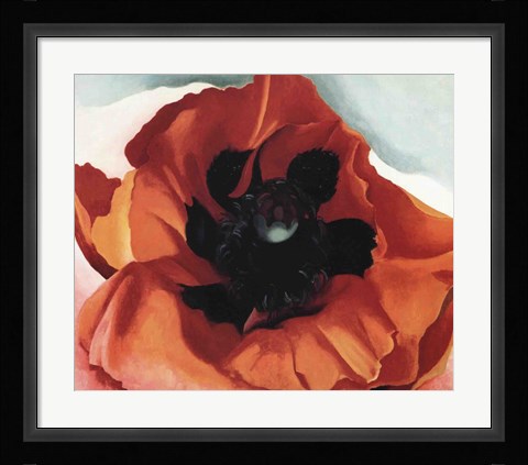 Framed Poppy Print