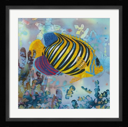 Framed Regal Angel Fish Print