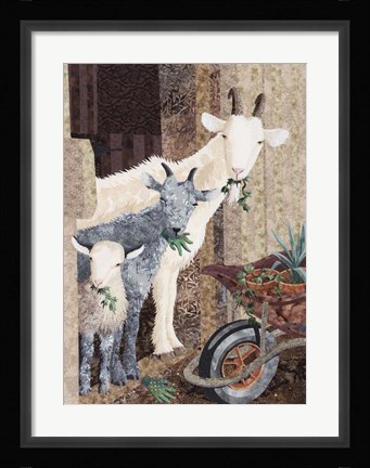 Framed Three Goats and a Wheelbarrow Print