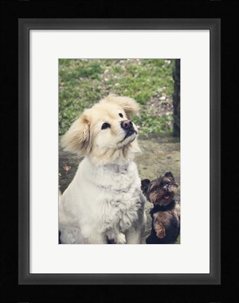 Framed Don't Forget Me Print