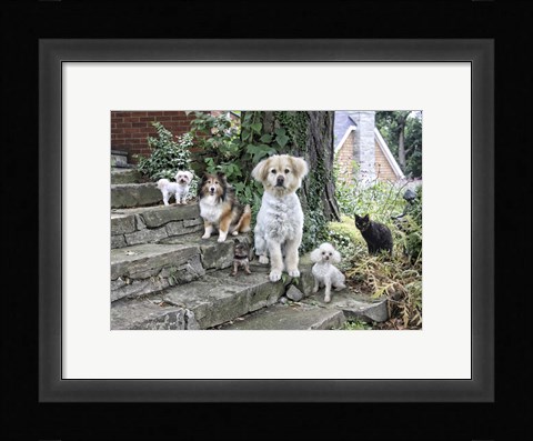 Framed Furry Family Print