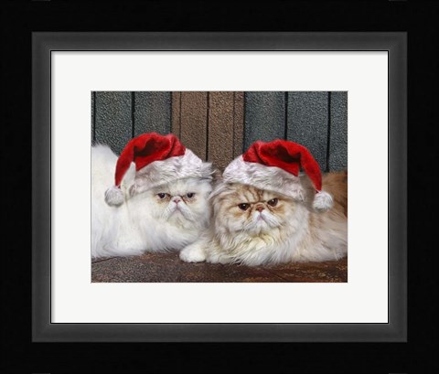 Framed Mad Cats Print