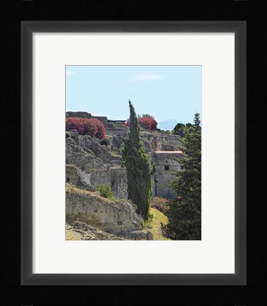 Framed trip tree Print